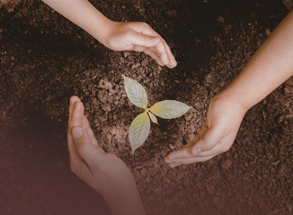 via-misura-generazione-terra-2026_ok Circolari OP del settore ortofrutticolo