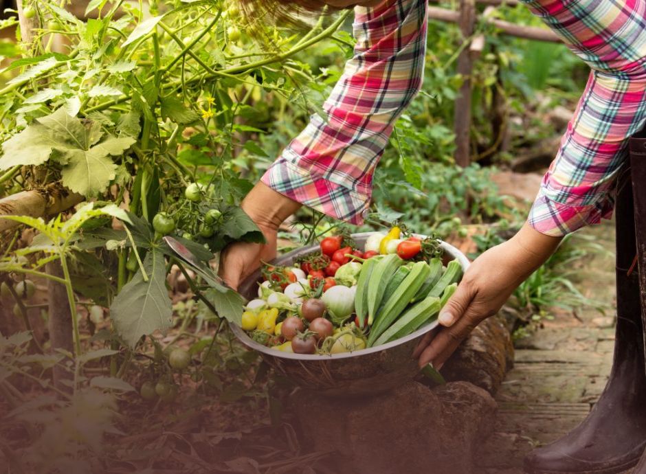 organictargets4eu-concluso-progetto-horizon-europe-raccomandazi_p51638 Circolari OP del settore ortofrutticolo