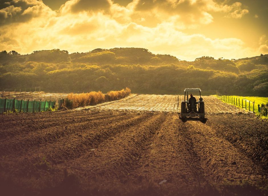 pratiche-commerciali-sleali-filiera-agroalimentare-normativa-co_p68580 Circolari OP del settore ortofrutticolo