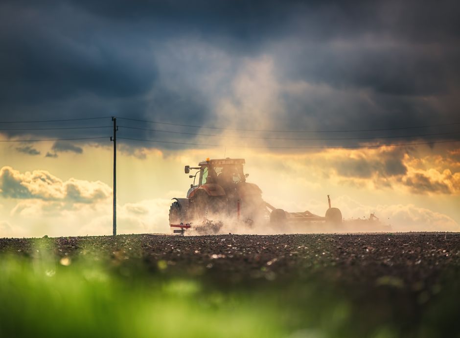 bando-ismea-interventi-ammodernamento-miglioramento-sicurezza-t_p18866 ConsulenzaAgricola -  Risposte efficaci per il mondo agricolo