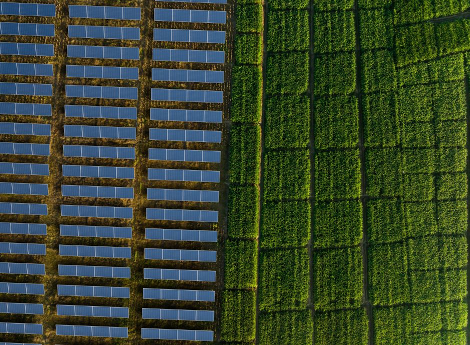 fotovoltaico-agricoltura-quando-diritto-superficie-non-tassato ConsulenzaAgricola -  Risposte efficaci per il mondo agricolo