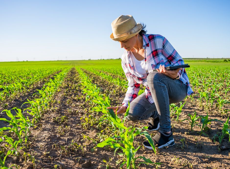 qualifica-iap-coltivatore-diretto-quale-presupposto-accesso-pri_p48843 ConsulenzaAgricola -  Risposte efficaci per il mondo agricolo