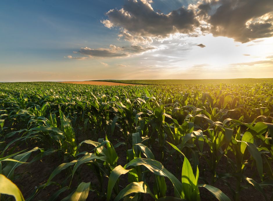 attribuzione-titoli-riserva-nazionale-anno-2025 ConsulenzaAgricola -  Risposte efficaci per il mondo agricolo