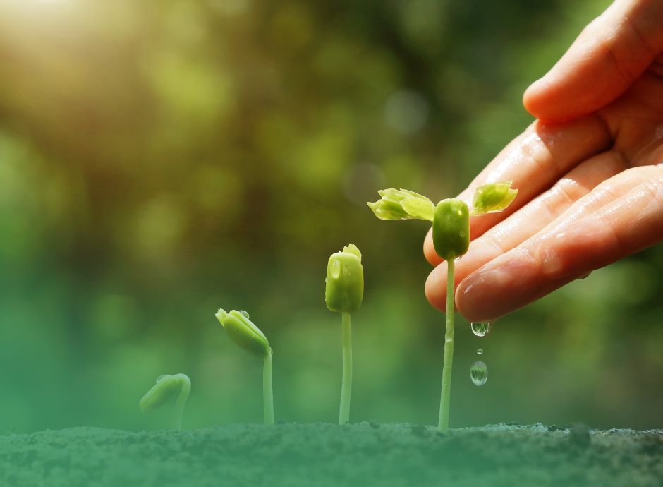 credito-imposta-zes-agricoltura-2026-aggiornati-modelli-nuove-a_p79444 ConsulenzaAgricola -  Risposte efficaci per il mondo agricolo