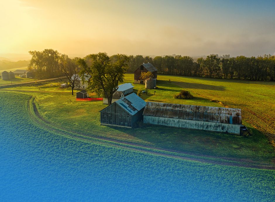 rischio-non-rispetto-condizionalita-soccida-conseguenze-economi_p70891 ConsulenzaAgricola -  Risposte efficaci per il mondo agricolo