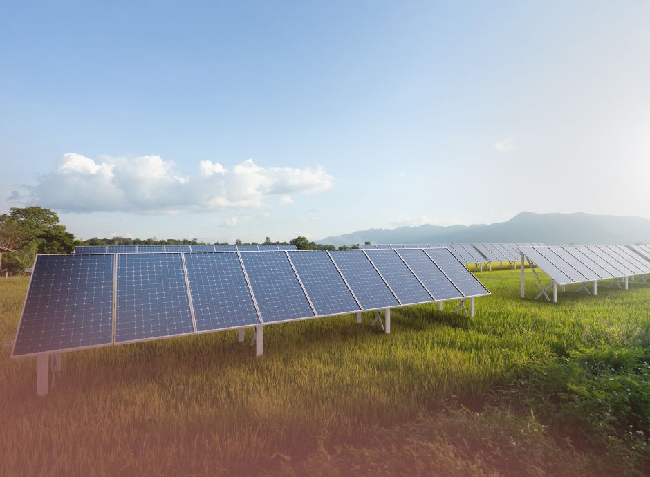 nuove-regole-operative-pnrr-agrivoltaico-impatti-criticita-impr_p81317 ConsulenzaAgricola -  Risposte efficaci per il mondo agricolo