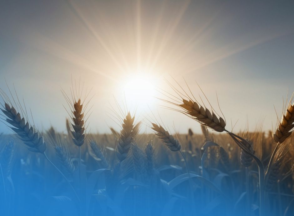 saldi-definitivi-pac-2025 ConsulenzaAgricola -  Risposte efficaci per il mondo agricolo