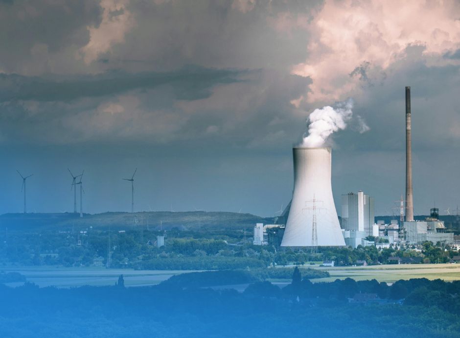 regolamento-delegato-metodologie-certificazione-assorbimento-pe_p79677 ConsulenzaAgricola -  Risposte efficaci per il mondo agricolo