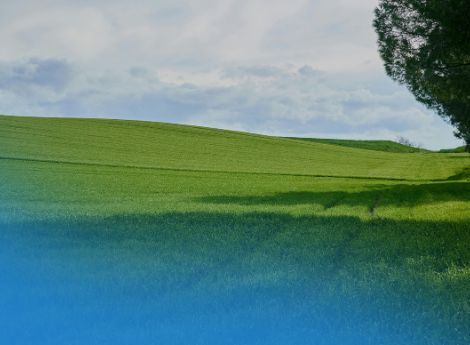 ulteriore-proroga-domande-fondo-sovranita-alimentare-2025 ConsulenzaAgricola -  Risposte efficaci per il mondo agricolo