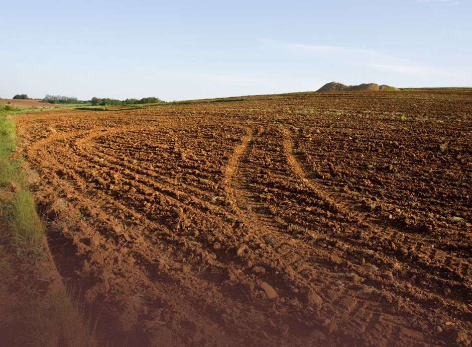 prelazione-agraria-requisiti-oggettivi-soggettivi-affittuario-p_p93172 ConsulenzaAgricola -  Risposte efficaci per il mondo agricolo