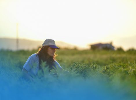 aggiornamento-dei-registri-sian-giovane-agricoltore-e-dar-giova_p62549 ConsulenzaAgricola -  Risposte efficaci per il mondo agricolo