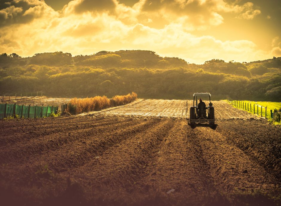 biologico-francia-strategia-agence-bio-consumi-ristorazione-fil_p24579 ConsulenzaAgricola -  Risposte efficaci per il mondo agricolo