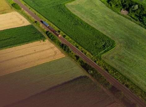 contratto-comodato-terreno-agricolo ConsulenzaAgricola -  Risposte efficaci per il mondo agricolo