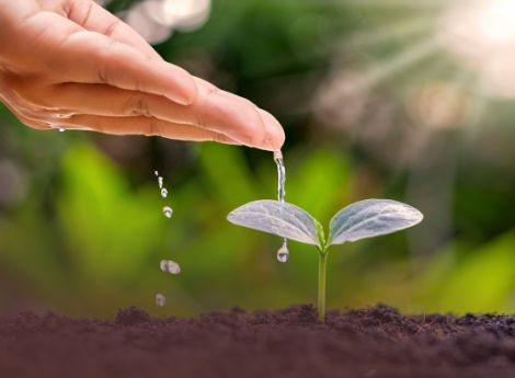finanziamento-ismea-opportunita-sostegno-settore-agricolo-agroa_p84853 ConsulenzaAgricola -  Risposte efficaci per il mondo agricolo