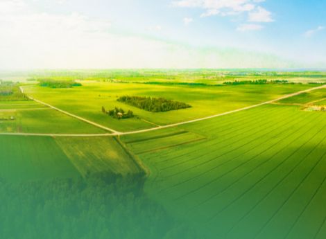 rivalutazione-terreni-partecipazioni-compilazione-modello-reddi_p23036 ConsulenzaAgricola -  Risposte efficaci per il mondo agricolo
