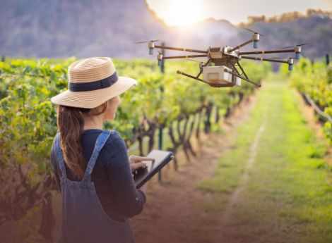 bando-ue-nuovo-gruppo-esperti-droni-mobilita-aerea-innovativa ConsulenzaAgricola -  Risposte efficaci per il mondo agricolo