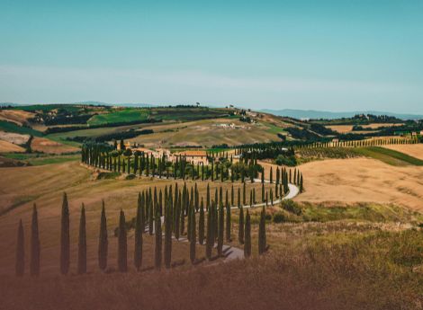 italia-agricola-ostaggio-burocrazia ConsulenzaAgricola -  Risposte efficaci per il mondo agricolo