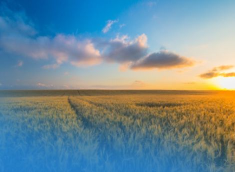 controlli-domanda-unificata-pac-2025 ConsulenzaAgricola -  Risposte efficaci per il mondo agricolo
