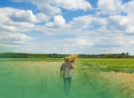 agevolazioni-piccola-proprieta-contadina-cassazione-chiarisce-r_p21652 ConsulenzaAgricola -  Risposte efficaci per il mondo agricolo