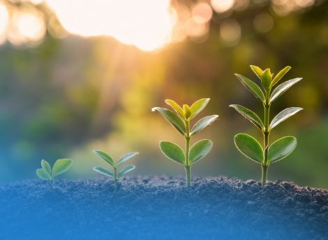 quadro-nazionale-governance-ripristino-natura ConsulenzaAgricola -  Risposte efficaci per il mondo agricolo