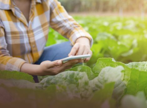 progetto-ue-guardians-contributi-fino-10-000-euro-imprese-agric_p97988 ConsulenzaAgricola -  Risposte efficaci per il mondo agricolo