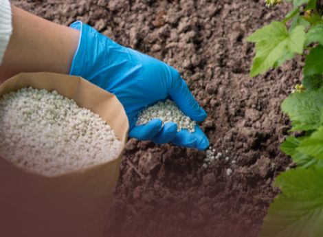 concimi-azotati-sospensione-dazi-nuovi-contingenti-tariffari-ue ConsulenzaAgricola -  Risposte efficaci per il mondo agricolo