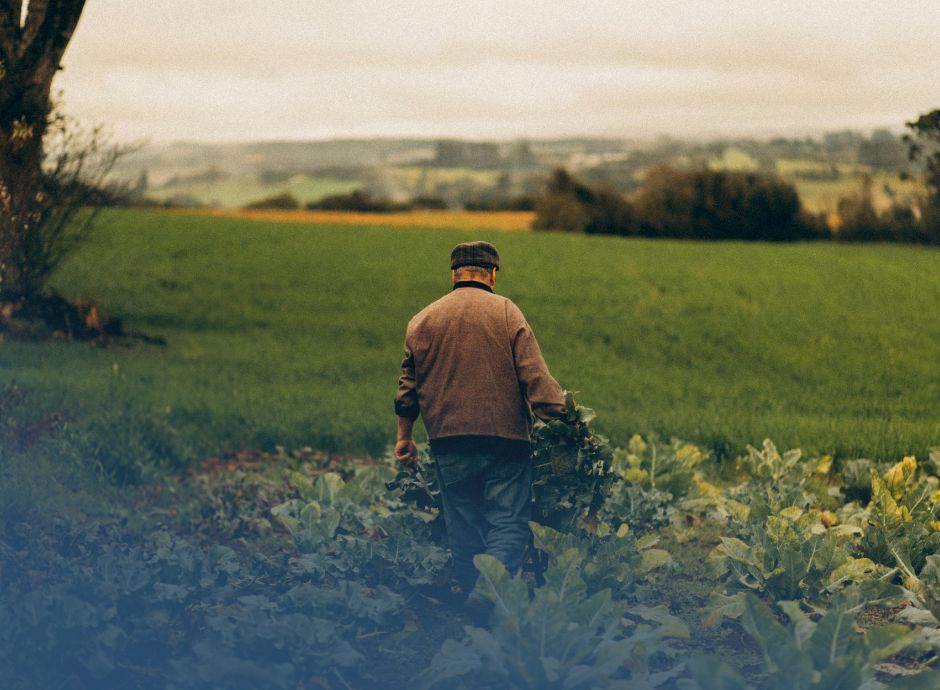 rinnovo-ccnl-operai-agricoli-e-florovivaisti-2026-2029-i-princi_p56092 ConsulenzaAgricola -  Risposte efficaci per il mondo agricolo