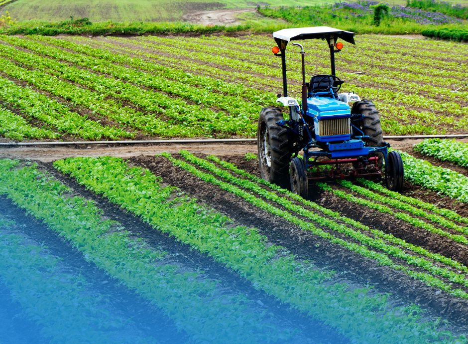 gestione-e-dichiarazione-dei-prati-permanenti-per-la-campagna-2_p62851 ConsulenzaAgricola -  Risposte efficaci per il mondo agricolo
