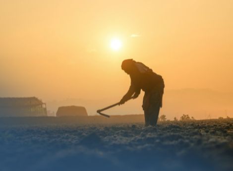 caporalato-agricoltura-scatta-vigilanza-straordinaria-estiva ConsulenzaAgricola -  Risposte efficaci per il mondo agricolo