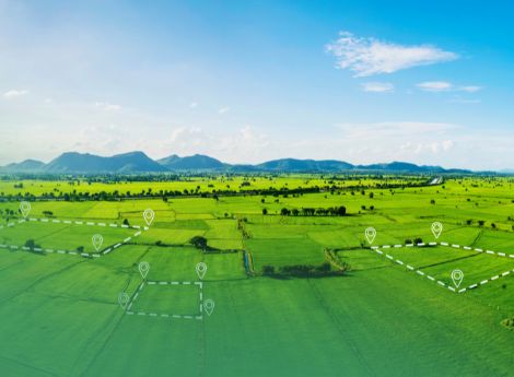 esenzione-imu-terreni-agricoli-aree-edificabili-dichiarazione-c_p79825 ConsulenzaAgricola -  Risposte efficaci per il mondo agricolo