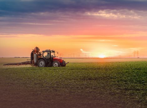 bando-isi-2025-corsa-contributi-passa-polizza-catastrofale ConsulenzaAgricola -  Risposte efficaci per il mondo agricolo