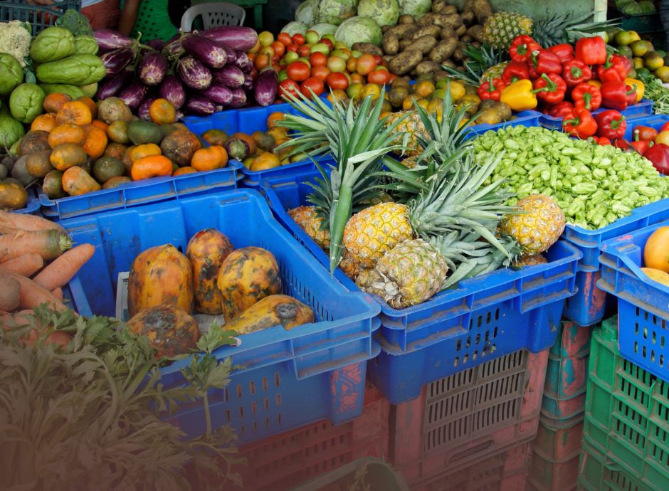 approvato-il-regolamento-per-la-modifica-delle-norme-sull-organ_p17756 ConsulenzaAgricola -  Risposte efficaci per il mondo agricolo