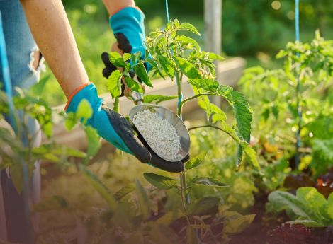commissione-europea-proposte-nuove-agevolazioni-sostenere-agric_p34846 ConsulenzaAgricola -  Risposte efficaci per il mondo agricolo