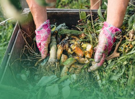 tari-attivita-agricole-nota-ifel-18-maggio-2026 ConsulenzaAgricola -  Risposte efficaci per il mondo agricolo