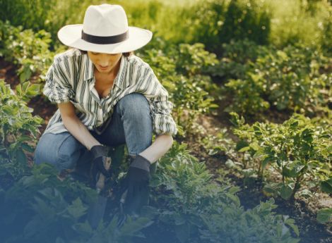 contributi-2026-lavoratori-agricoli-autonomi ConsulenzaAgricola -  Risposte efficaci per il mondo agricolo