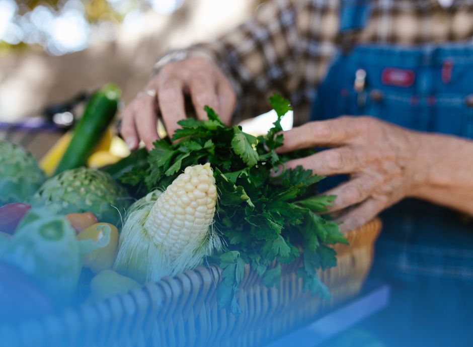 consorzi-dop-igp-nuovo-decreto-masaf-ridisegna-poteri-regole-re_p17440 ConsulenzaAgricola -  Risposte efficaci per il mondo agricolo