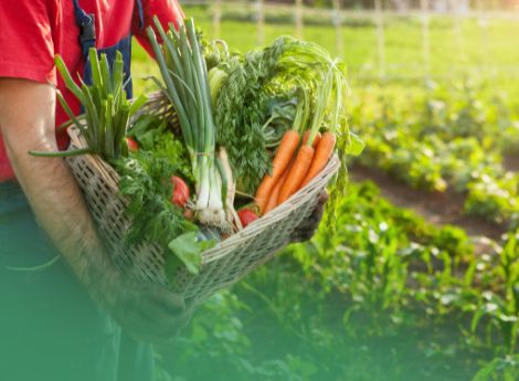 attivita-agricole-connesse-calcolo-prevalenza-non-basta-confron_p40544 ConsulenzaAgricola -  Risposte efficaci per il mondo agricolo