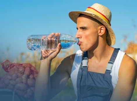 caldo-lavoro-agricoltura-adempimenti-osservare-ammortizzatori-s_p96043 ConsulenzaAgricola -  Risposte efficaci per il mondo agricolo