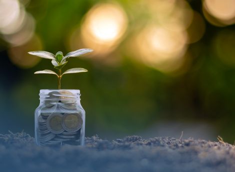 inps-contributi-dovuti-concedenti-piccoli-coloni-compartecipant_p75335 ConsulenzaAgricola -  Risposte efficaci per il mondo agricolo