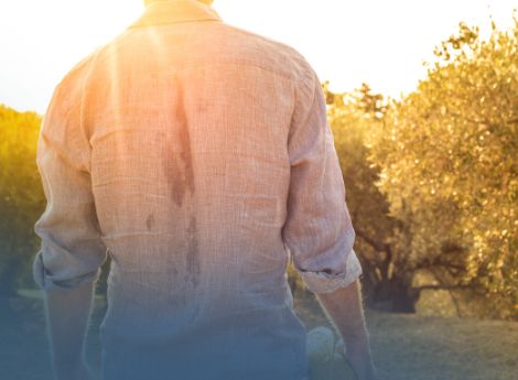 caldo-eccezionale-agricoltura-cisoa-agevolata-operai-tempo-dete_p37143 Sezione Circolari Lavoro | ConsulenzaAgricola.it