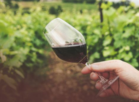 vino-biologico-crescita-mentre-mercato-globale-arretra-sostenib_p24527 Sezione Circolari Varie | ConsulenzaAgricola.it