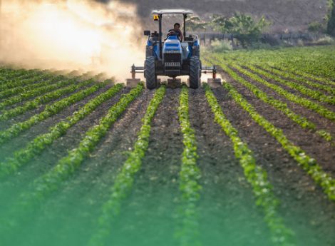 agevolazioni-ppc-terreno-concesso-comodato-societa-semplice-agr_p99930 Sezione Circolari Fiscale | ConsulenzaAgricola.it