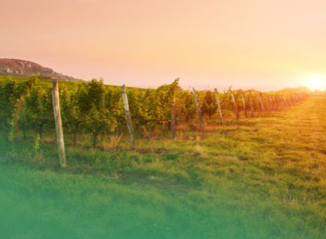 comodato-fondo-rustico-rileva-fini-tassazione-base-catastale-1 Sezione Circolari Fiscale | ConsulenzaAgricola.it