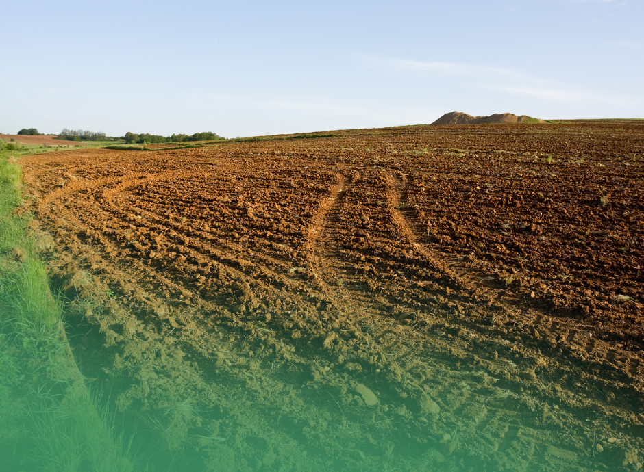 la-tassazione-delle-plusvalenze-derivanti-dalla-cessione-di-un-_p99842 Sezione Circolari Fiscale | ConsulenzaAgricola.it
