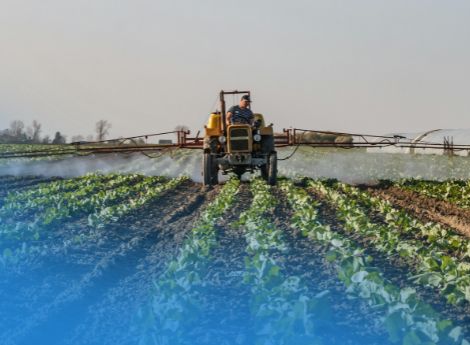 parlamento-europeo-approvate-misure-straordinarie-agricoltori-o_p91675 Sezione Circolari | ConsulenzaAgricola.it