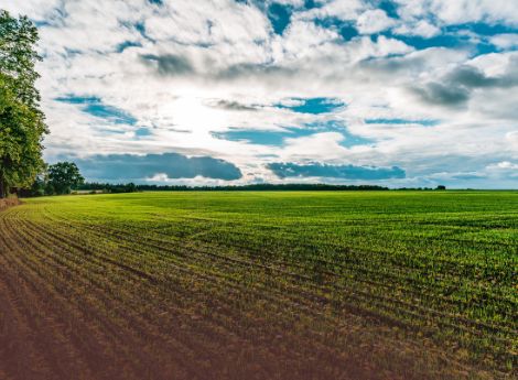 biologico-usa-forte-crescita-vendite-76-6-miliardi-dollari-2025 Sezione Circolari Varie | ConsulenzaAgricola.it