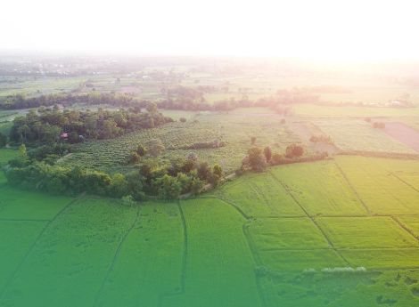 agevolazioni-ppc-fabbricati-inutilizzabili-non-sono-pertinenze-_p94178 Sezione Circolari Fiscale | ConsulenzaAgricola.it