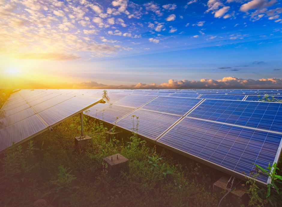 fotovoltaico-terra-zone-agricole-corte-costituzionale-conferma-_p32248 ConsulenzaAgricola -  Risposte efficaci per il mondo agricolo