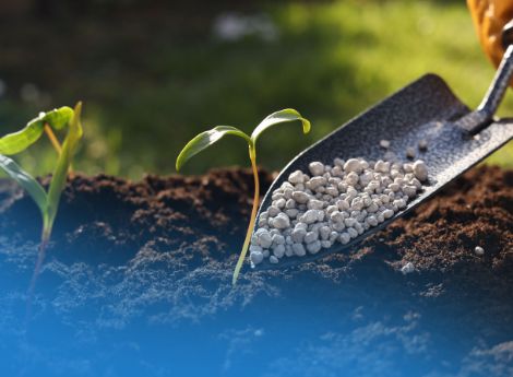 regolamento-rincaro-concimi-anticipi-pac-2026-dotazioni-2027-so_p43624 ConsulenzaAgricola -  Risposte efficaci per il mondo agricolo
