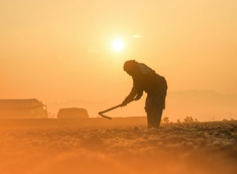 emergenza-climatica-inps-attese-istruzioni-fruire-cigo-cisoa-ra_p23083 ConsulenzaAgricola -  Risposte efficaci per il mondo agricolo